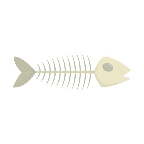 fish skeleton vector|Fish Skeleton Vector illustrations .